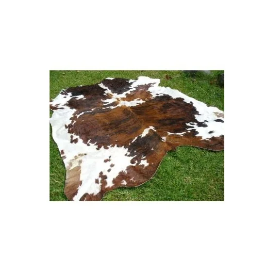 Wet Salted  Hides for Sale