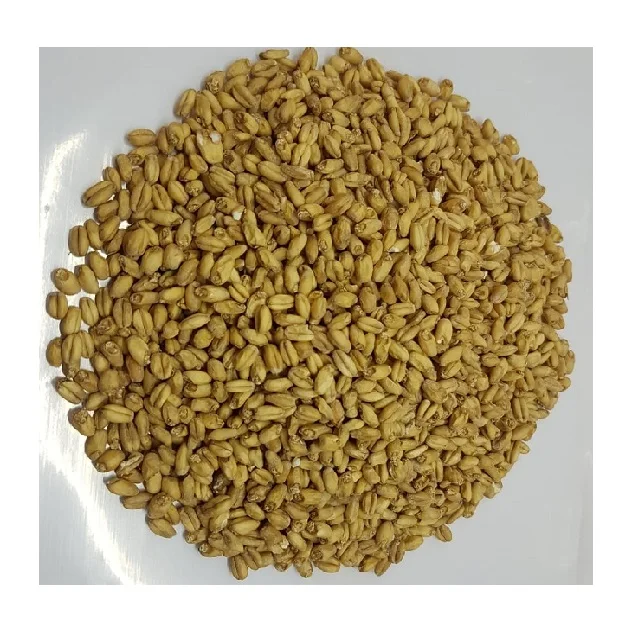 Barley Non-GMO Ukraine Global Supplier of Natural Organic Barley Malt for Brewing Beer