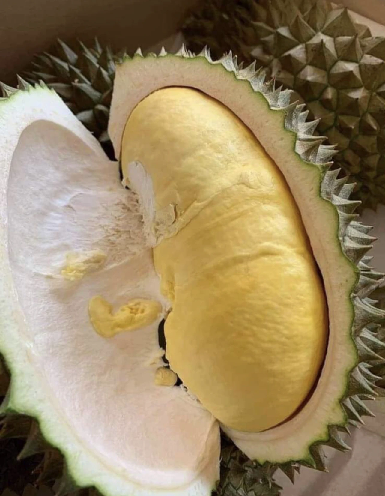 Premium Fresh Durian from Thailand 100% Natural Premium Grade of Durian Mon Thong  with Best Taste
