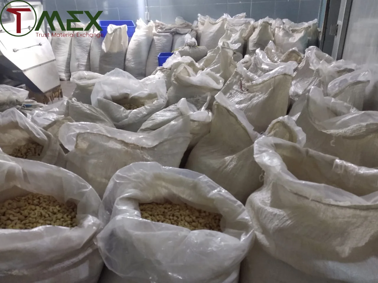 Vietnam Cashew Nuts 2022 W450 Best Seller Product Kernels From