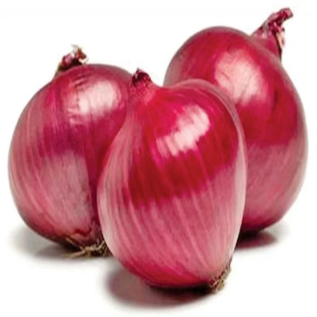 New season red onion 5-7cm / fresh onion import export
