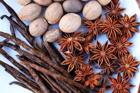 BULK PACKING STAR ANISEED DRIED FOOD FLAVOR RAW SINGLE SPICES SEED for SEASONING VIETNAM
