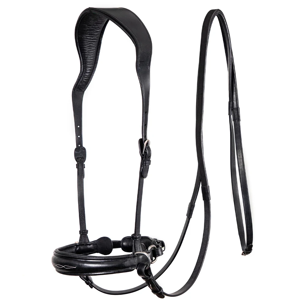 Wholesale High Comfort Fancy Stitched Leather English Bridle with Reins Western Style Horse Halter and Rope Accessory