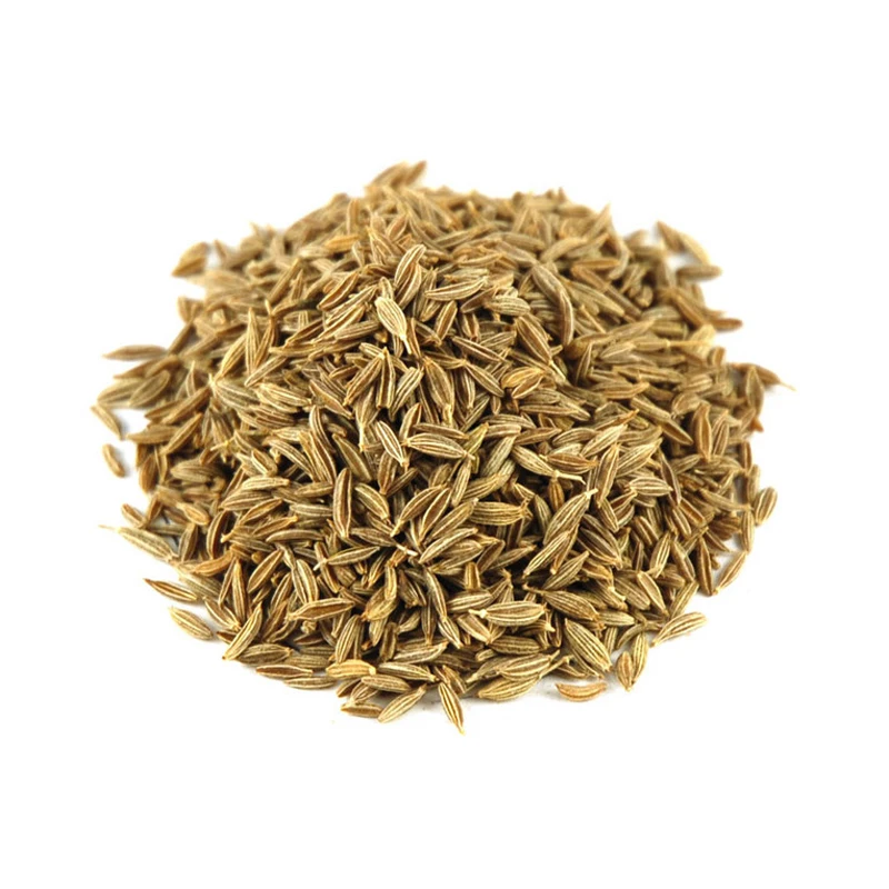 New Season Dried Cumin Seeds Jeera Natural Cumin Single Spices & Herbs from Indian Manufacturer