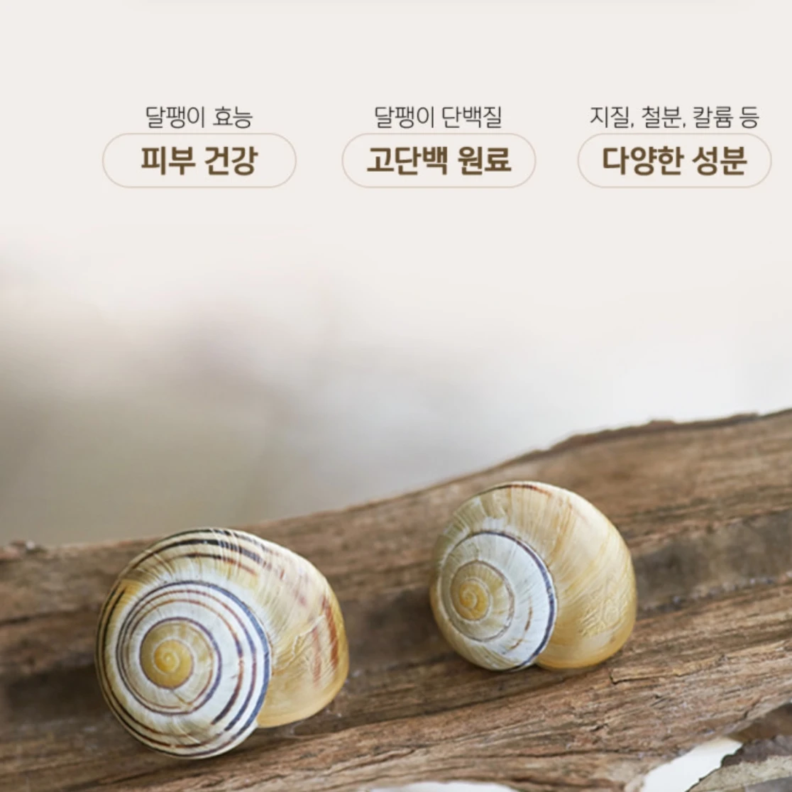 skin care set with 3 Quality Guaranteed Korean Anti-Aging Eshumi Black Snail Perfect anti aging Skin Care line Set