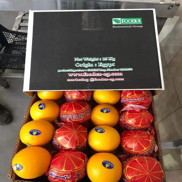 valencia egyptian orange