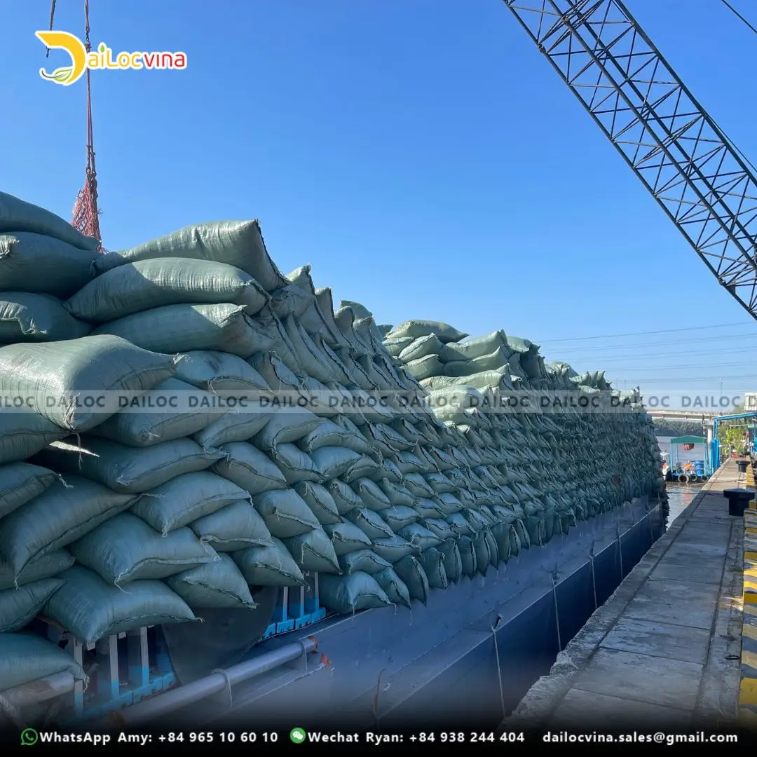 HIGH QUALITY ROUND COCO COIR PEAT FOR PLANTING GARDENING MODERN POTTING SOIL SUBSTRATE OFFICE SPACE MADE COCO FIBER