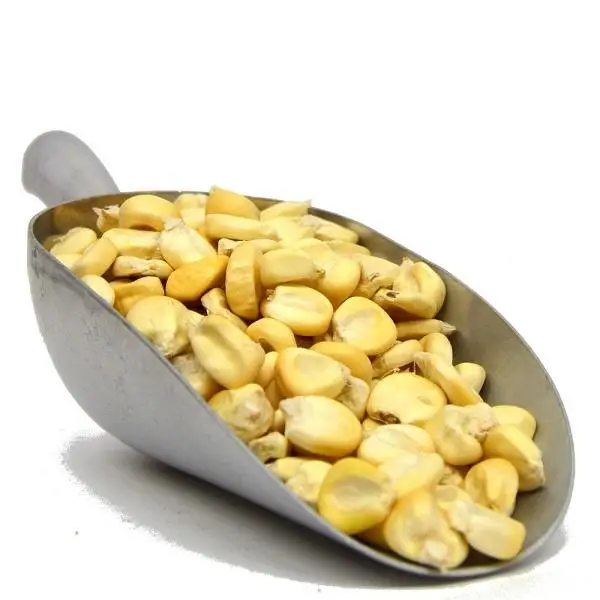 Top Quality At Factory Price Corn Shelled Corn Drier Corn