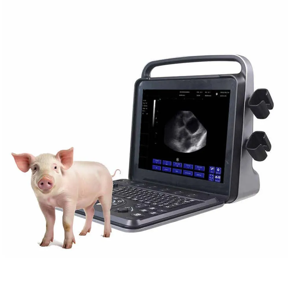Veterinary Ultrasound Equipment Portable Ultrasound Scanner Veterinary Ultrasound Scanner For Pregnancy Tests