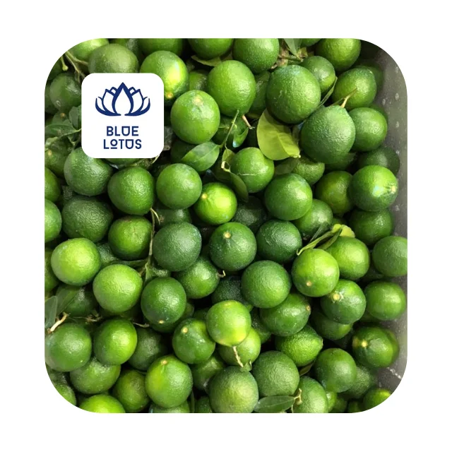 Fresh Lemon Without Seeds