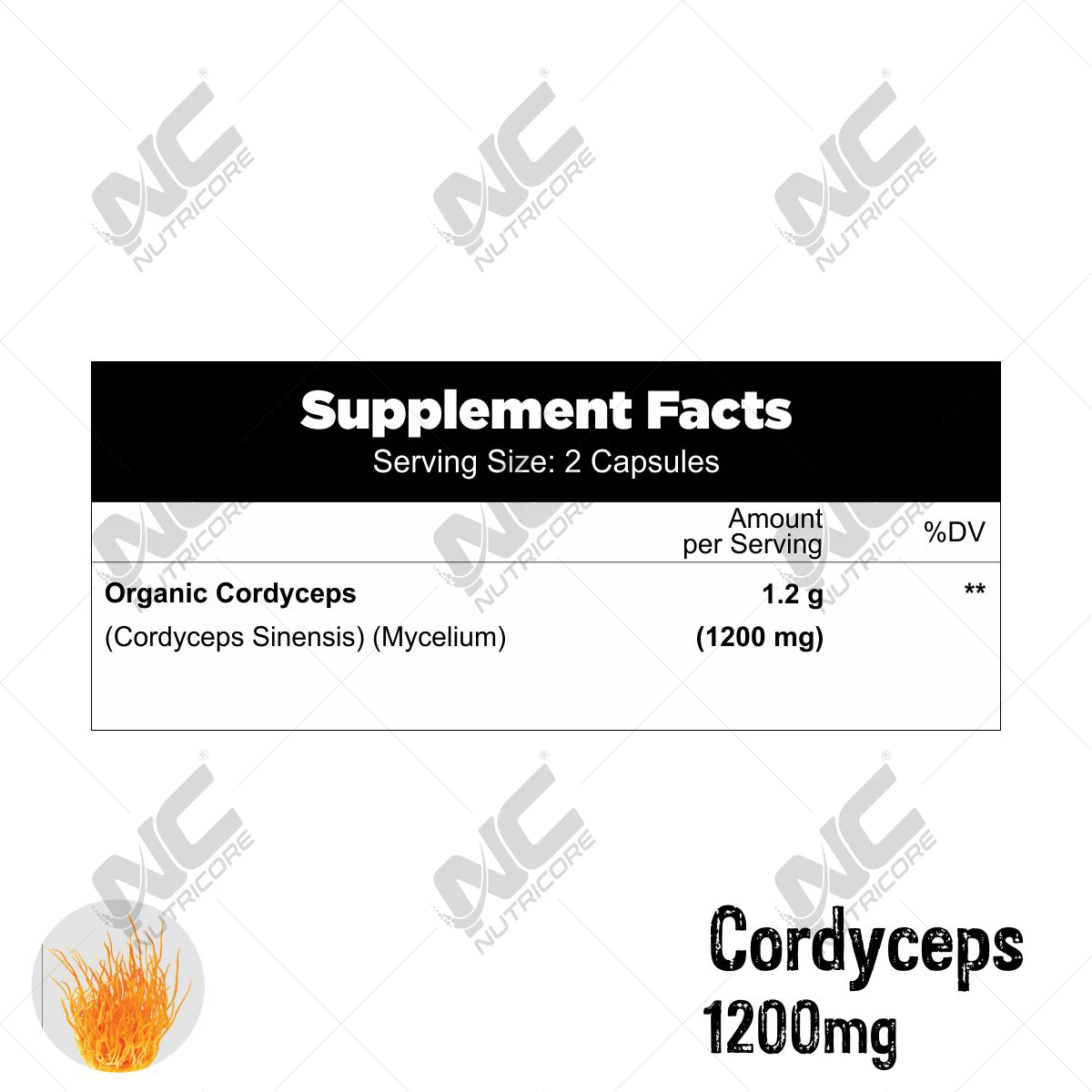 Excellent Quality Wholesale Healthcare and Dietary Supplements Top Selling Natural Cordyceps Capsules Suppliers