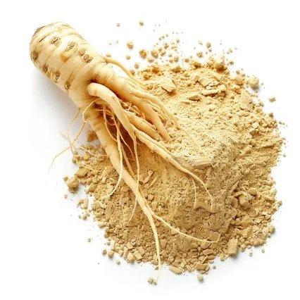 Wholesale Quantity 100% Pure & Organic ginseng Root Extract Powder at Best Price from India