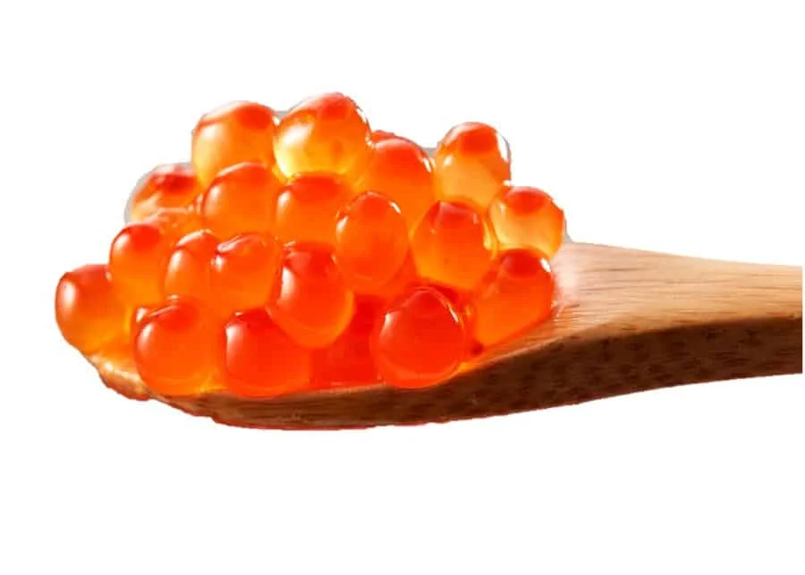 Salmon Roe6.jpg