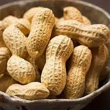 Raw Kernel Peanuts Wholesale Supplier of Raw Peanuts at Best Market Price