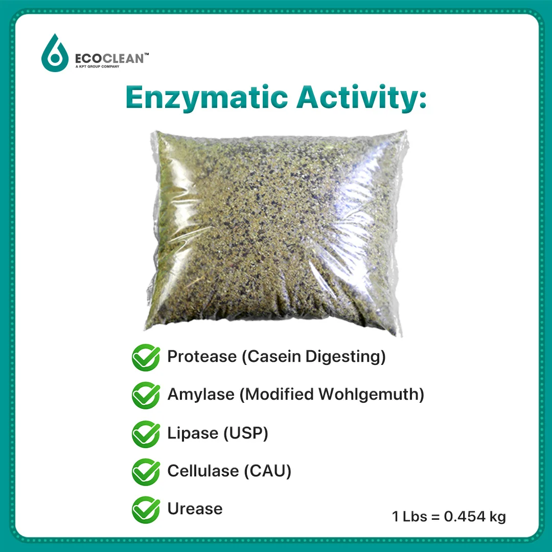 OEM Microbiology Enhances Biological Growth of Microbiology in Industrial Sewage Treatment-Microstimulant- From USA