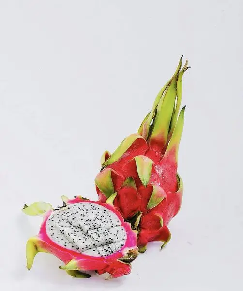 Import with Confidence and Retailers Rejoice Fresh Dragon Fruit from Viet Nam for wholesaler (+84983028718)