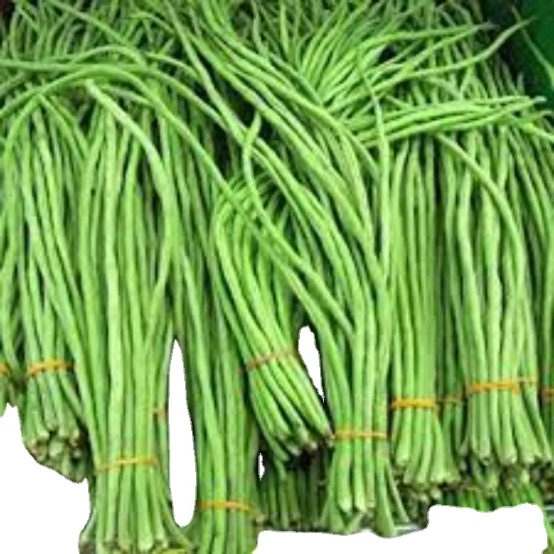 Цена FOB для экспорта бычьего гороха в крупной