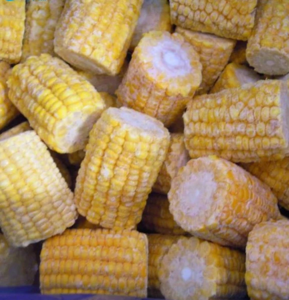 Bulk Sales Naturally Yellow IQF Sweet Corn With ISO HACCP Certification From Vietnam For Export