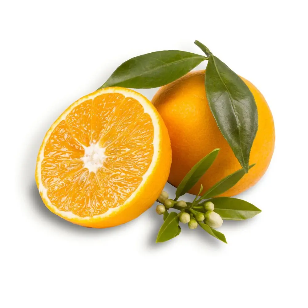 100% Pure Natural Fresh Citrus Naval Oranges, Valencia Orange