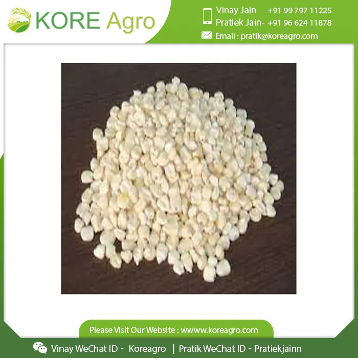 Buy White Maize White Corn For Human Consumption Non Gmo White Corn For Animal Feed