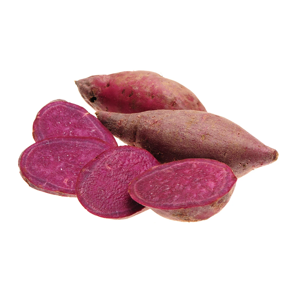 Wholesale High Quality Fresh Yellow Sweet Potato From Vietnam