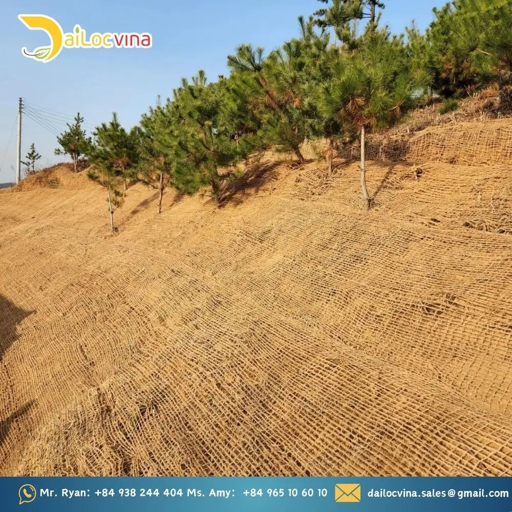 Кокосовая сетчатая сетка биоразлагаемый коврик для борьбы с эрозией во Вьетнаме