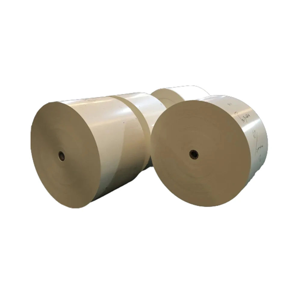 Top Quality Greaseproof MG Bleached Kraft Paper with PE Coating White Food Grade Wrapping Paper From India