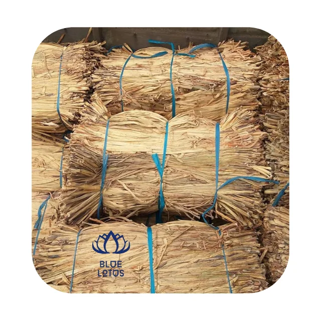 Dried Water Hyacinth Natural
