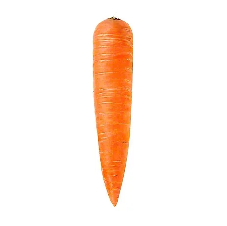 Bulk Stock Available of Fresh Vegetables Orange Carrots at Wholesale Prices