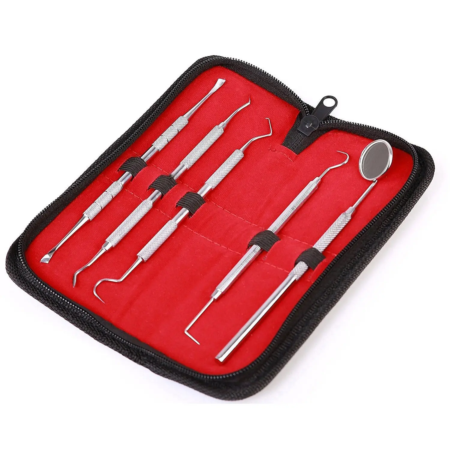 Dental Examination Kit Stainless Steel Dental Basic Examination Kit of 5 Pcs with Leather Case