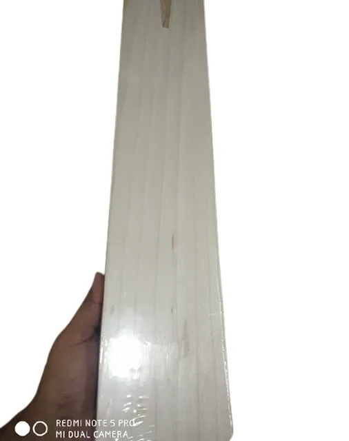 Customized English Willow High Quality Top Grade Cricket Bat