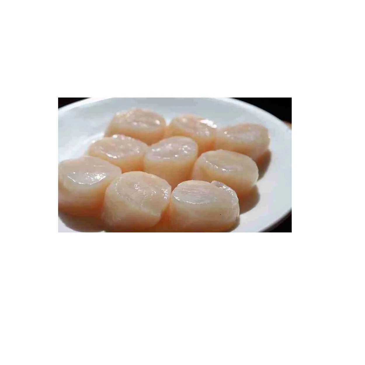 Frozen High Quality Scallop Meat | Affordable Popular shellfish export manufacturers frozen sea scallop