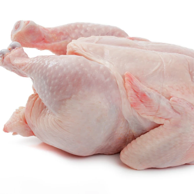100% High Quality Wholesale Brazilian Halal Frozen Whole Chicken