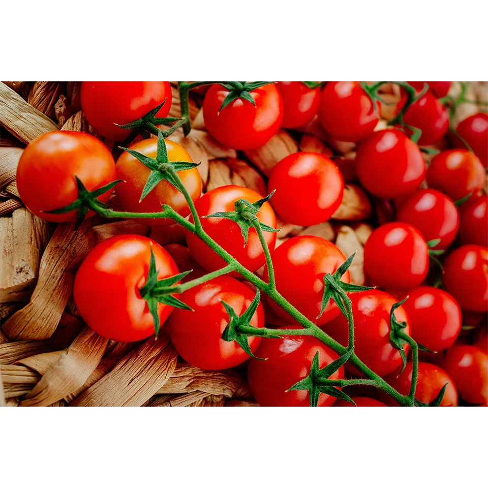 Вьетнам свежие помидоры свежих продуктов для приготовления пищи 130 г/шт. размер дешевое качество лучших