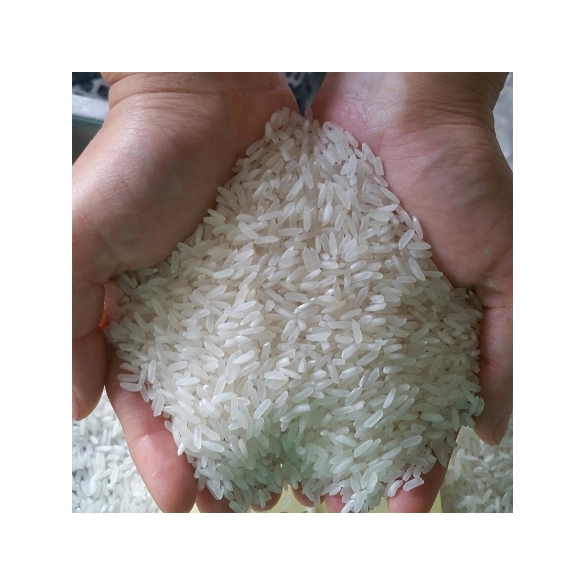 2024 длиннозерный белый рис жасмин оптовая продажа новое лучшее производство высококачественный