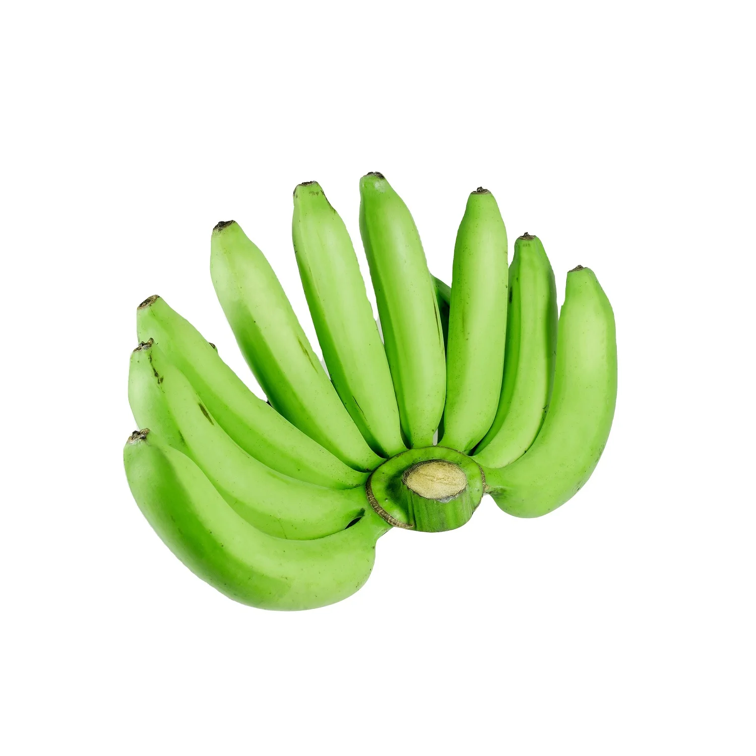 Supply Fresh Green Cavendish Banana With Premium Export Quality