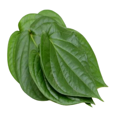Вьетнамские свежие листья betel-высококачественные вьетнамские товары-супер скидка-самая низкая цена на