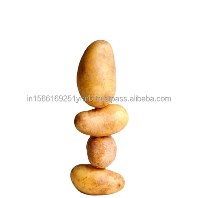 fresh potato price per ton For Wholesale High quality