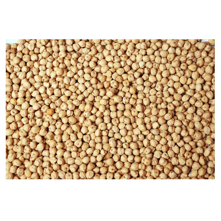 Healthy dried green chickpeas brown garbanzo beans kabuli chick peas