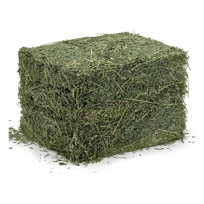 Alfalfa Lucerne Hay for Animal Feed Cattle Horse Cow Chicken Pet