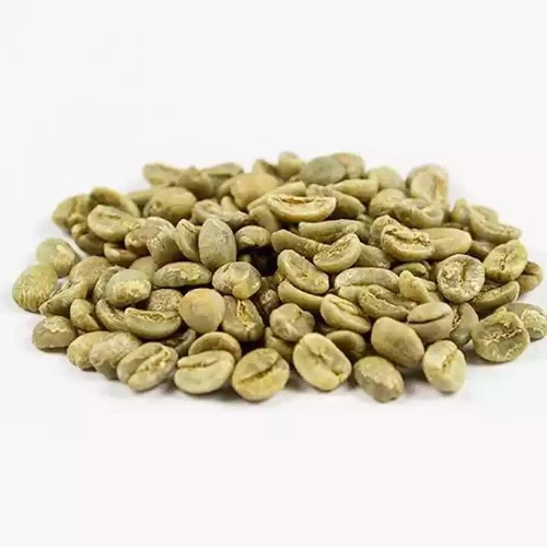 Green Bean Commercial Robusta Aeroco Coffee German Factory Good Price