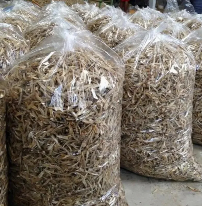 Wild Whole Anchovies Dried Fish (European Anchovy)an Cobsumption