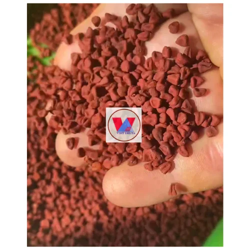 TOP SELLING ANNATTO NUT ROUCOU ACHIOTE NUT  READY to EXPORT in LARGE NUMBERS