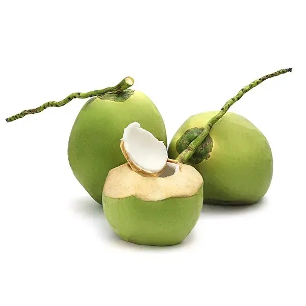 Buy Organic fresh young green coconuts wholesale 100% sweet