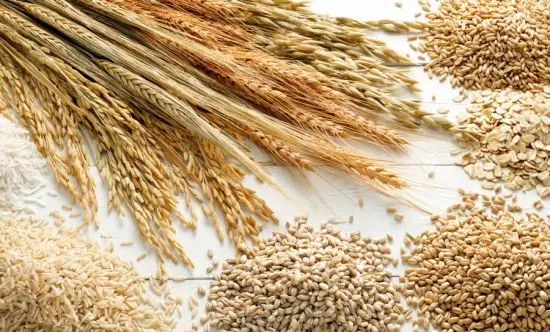 1/6 Best Selling High In Nutrients And Fiber Natural Wheat Grain Wheat Grain Bulk Buy Wheat Grains