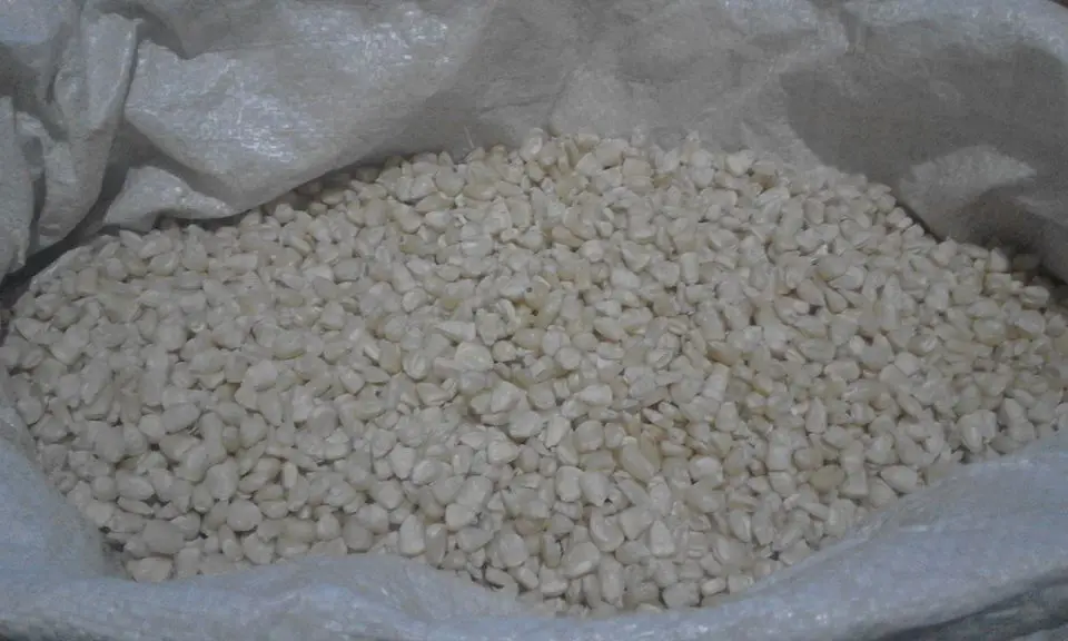 Argentine High Quality Yellow Corn Export Quality South Africa Origin Dried Grade Product White Corn