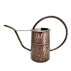 Gardening Customized Iron Long Spout Power Coated Spray Water Can Garden Metal Watering Can