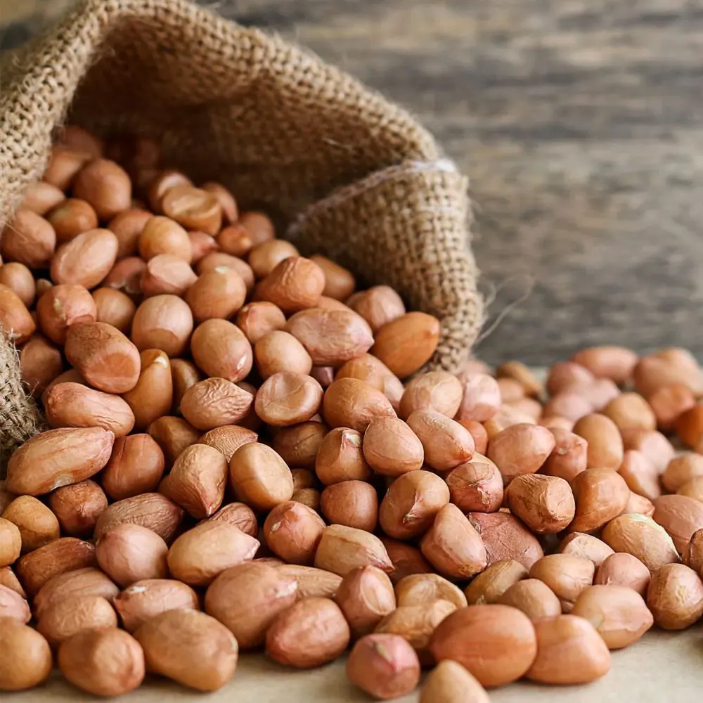 Light Weight Low MOQ Ground Nut OEM Service Ground Nut Solid Color Ground Nut