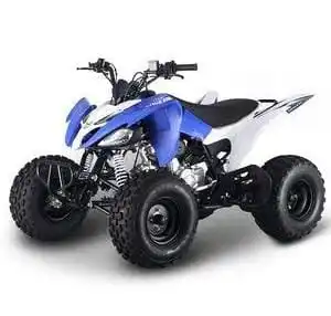 CHEAP DISCOUNT SALE 250Cc atv quad bike buggy utv OFF ROAD MOTORCYCLE FOR SALE