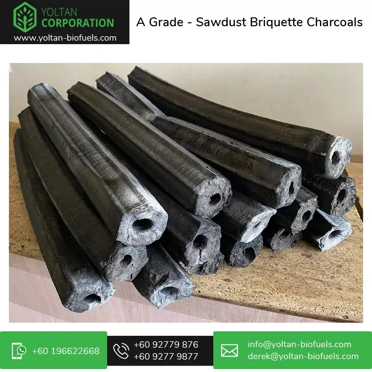 Professional Malaysian Exporter of Sparkless and High Heat 100% Sawdust Briquette Charcoal for Barbecue / BBQ